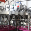 Professional Automatic 3 in 1 Bottled Beer Filling Machine