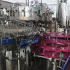 Professional Automatic 3 in 1 Bottled Beer Filling Machine